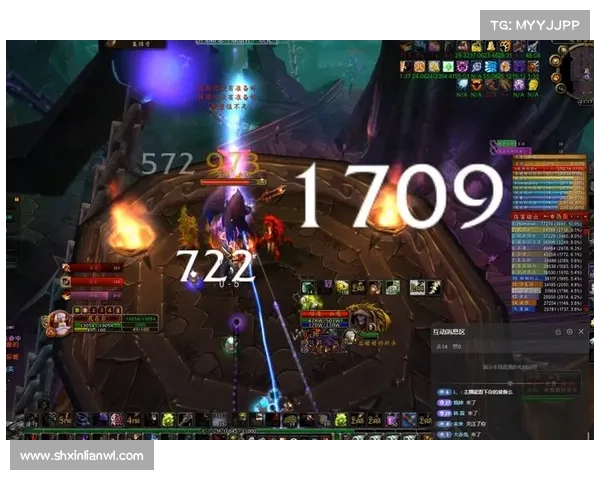 魔兽世界怀旧服盗贼：能量伤害监控全攻略